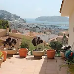 Mediterrania 21 레스타르티트